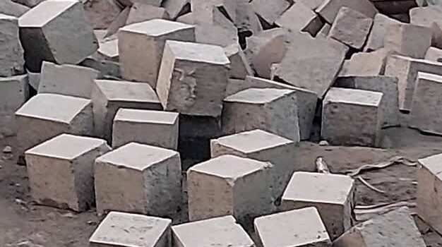 ছাত্রদল নেতার প্রতিরোধে শহর রক্ষা বাঁধের ব্লক উদ্ধার