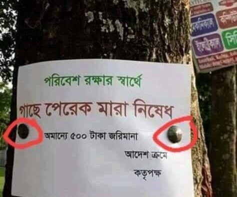 গাছে পেরেক মারলে ২০ হাজার, গাছ কর্তনে লাখ টাকা জরিমানা