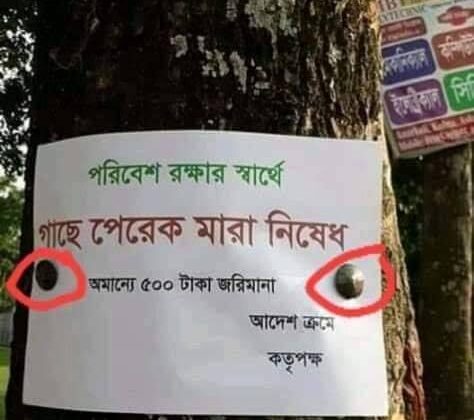 গাছে পেরেক মারলে ২০ হাজার, গাছ কর্তনে লাখ টাকা জরিমানা