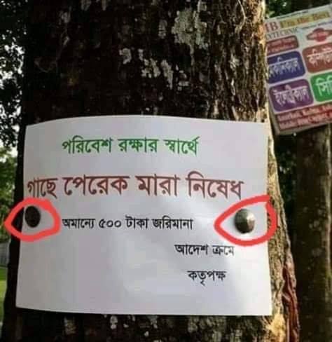 গাছে পেরেক মারলে ২০ হাজার, গাছ কর্তনে লাখ টাকা জরিমানা