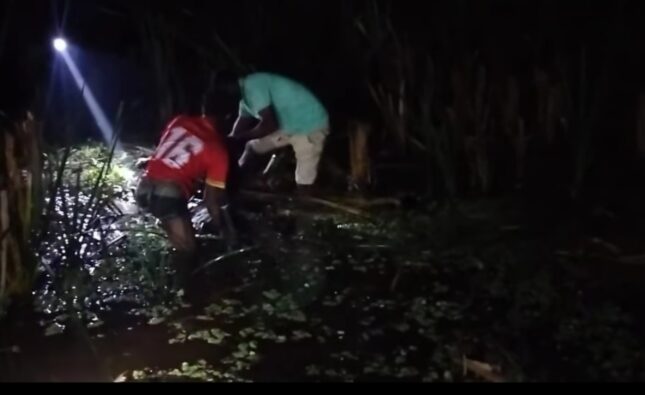 বরিশালে বিএনপি কর্মীর মরদেহ মিলল ডোবায়