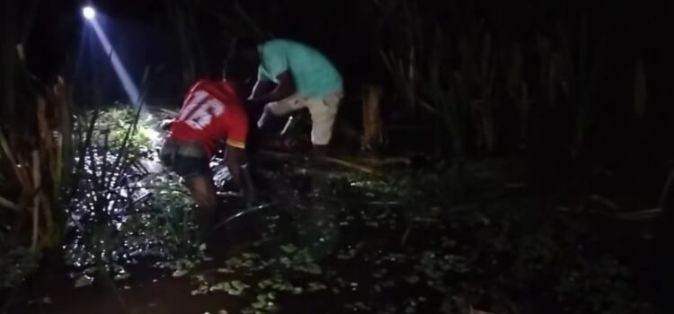 বরিশালে বিএনপি কর্মীর মরদেহ মিলল ডোবায়