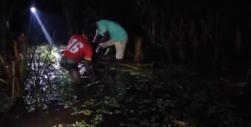 বরিশালে বিএনপি কর্মীর মরদেহ মিলল ডোবায়