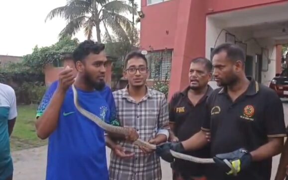 কলাপাড়ায় ৬ ফুট দৈর্ঘ্যের দাড়াশ সাপ অবমুক্ত
