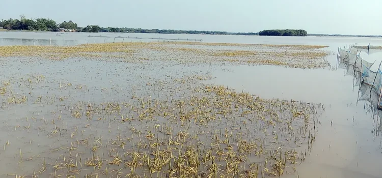 বরিশালে একদিনের ব্যবধানে দুই স্কুল শিক্ষার্থী নিখোঁজ!