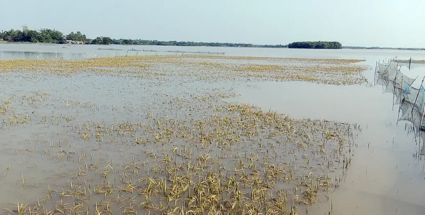 বরিশালে একদিনের ব্যবধানে দুই স্কুল শিক্ষার্থী নিখোঁজ!