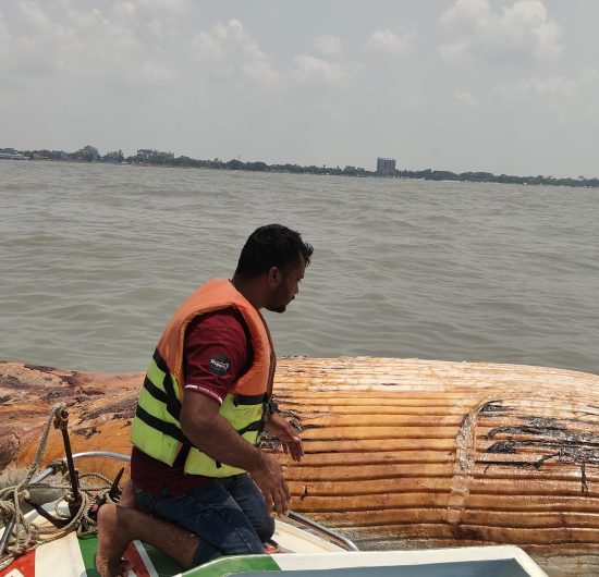 কুয়াকাটা সৈকতে ৫৮ ফুট দৈর্ঘ্যের মৃত তিমি