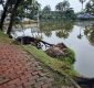 রাতের আধারে সরকারি বিদ্যালয়ের একাধিক মেহগনি গাছ উধাও, কতৃপক্ষ কিছুই জানে না কিছুই