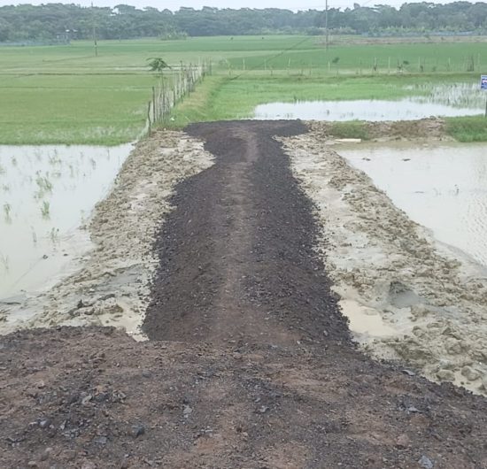 বিদ্যালয়ের জমি দখল করে রাস্তা নির্মাণের অভিযোগ আলোচিত কাফির বিরুদ্ধে