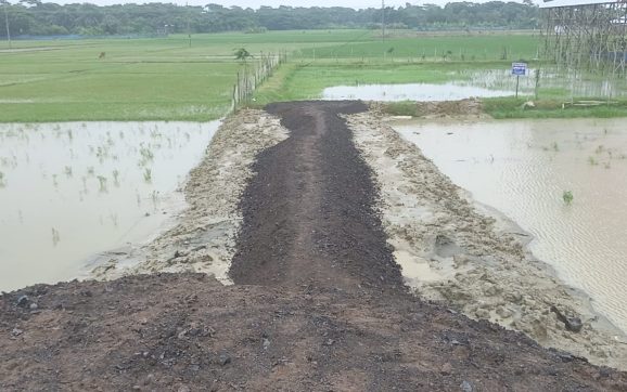 বিদ্যালয়ের জমি দখল করে রাস্তা নির্মাণের অভিযোগ আলোচিত কাফির বিরুদ্ধে
