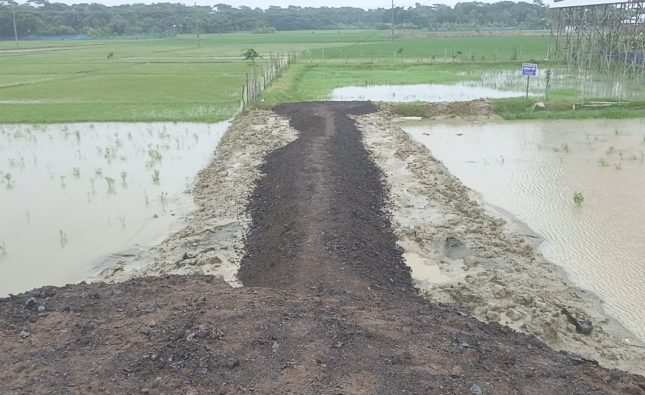 বিদ্যালয়ের জমি দখল করে রাস্তা নির্মাণের অভিযোগ আলোচিত কাফির বিরুদ্ধে