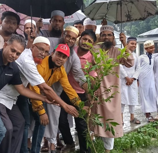 বিএনপির প্রতিষ্ঠাবার্ষিকীতে কলাপাড়ায় বৃক্ষ রোপণ- চিকিৎসা সেবা-খাবার বিতরণ
