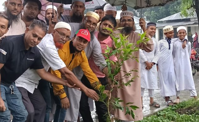 বিএনপির প্রতিষ্ঠাবার্ষিকীতে কলাপাড়ায় বৃক্ষ রোপণ- চিকিৎসা সেবা-খাবার বিতরণ