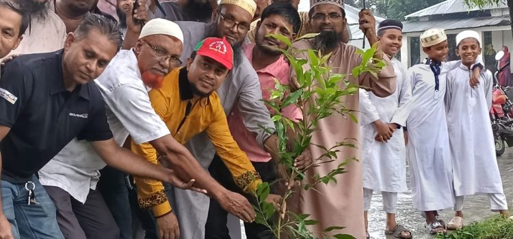 বিএনপির প্রতিষ্ঠাবার্ষিকীতে কলাপাড়ায় বৃক্ষ রোপণ- চিকিৎসা সেবা-খাবার বিতরণ