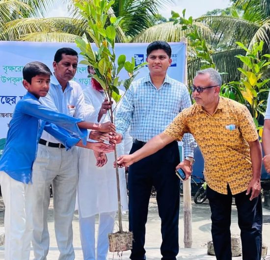 কলাপাড়ায় ৪শত শিক্ষার্থী পেল ফলদ গাছের চারা